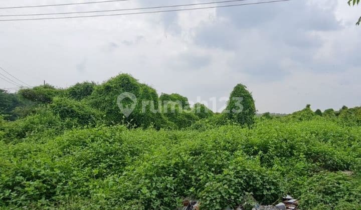 Tanah Pantai Kenjeran Hadap Jalan