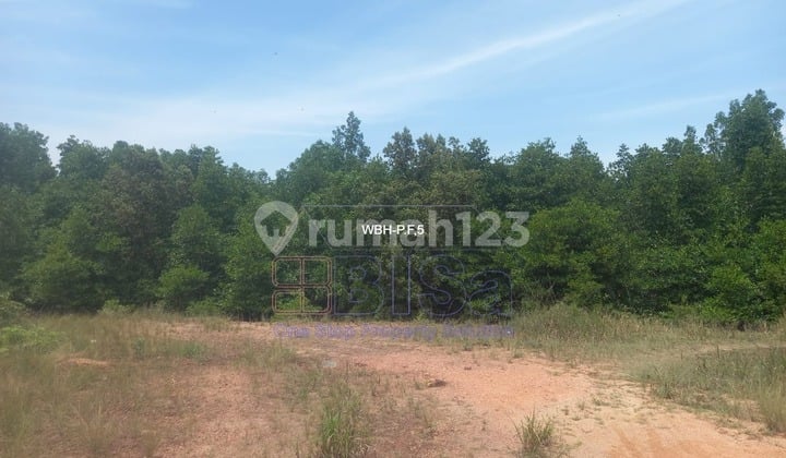 Selling Industrial Land in Teluk Senang, Tanjung Balai Karimun