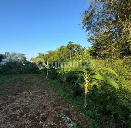 Dijual Tanah Shm Dekat Ke Kota