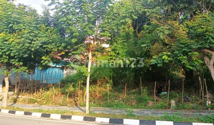 Dijual Cepat Tanah Di Labuan Bajo