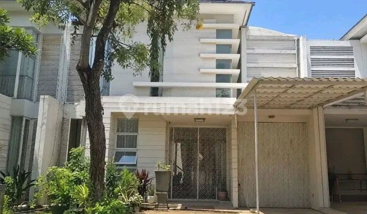 Termurah Lebar 10 Furnish Rumah Palm Beach Siap Huni