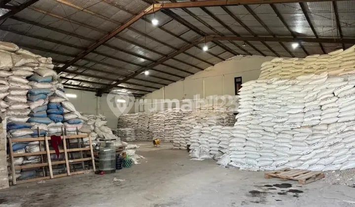 Container 40 Ft Lewat Bebas Banjir Siap Pakai 5 Menit Pelabuhan Tanjung Perak Gudang Kalimas Barat