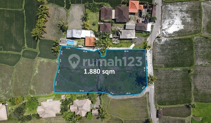 Harga Terbaik di Ubud, Bali Tanah Premium dengan Harga Turunlokasi Strategis di Bali Tepat di Samping Bennu House Ubudini Adalah Kesempatan Langka untuk Memiliki Tanah Premium di Salah Satu Area Paling Diminati di Ubud Bali.luas Tanah 1.880 Meter Persegi