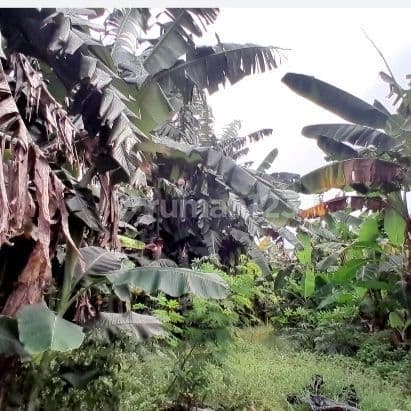 Tanah dijual murah dipoltangan pasar minggu 1735 m²