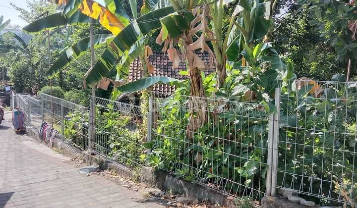 Tanah Timur Tugu Yogyakarta