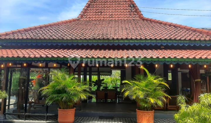 Turun Harga Resto Dan Homestay Selatan Musium Merapi Pakem