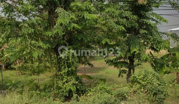 For Sale Tanah Luas Strategis di Raya Kedamean Gresik Safe 138