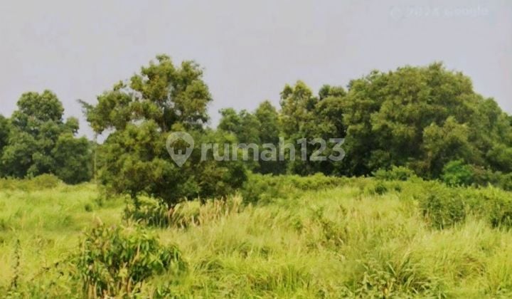 Ruang Usaha Kavling Komersial Bsd City, Murah, 1541 M2, Strategis, Jalan Ramai, Cocok Resto Cafe, Padel.