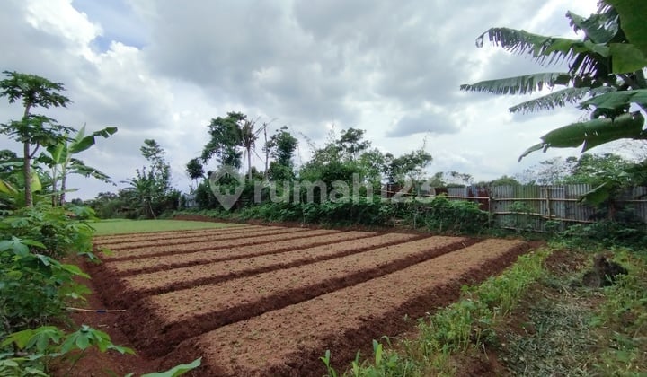 Land Suitable for Clusters, Villas, or Business