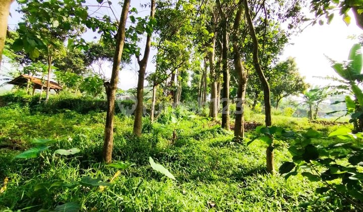 Land For Sale In Cilengkrang 1 Cibiru