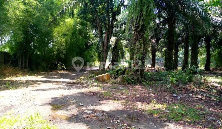 Lahan Tanah Jl. Medan Binjai Km.16 Lahan Sudah Ditembok Keliling