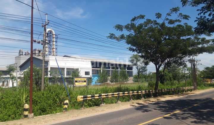 Dijual Lahan Lokasi Raya Tuban - Semarang
