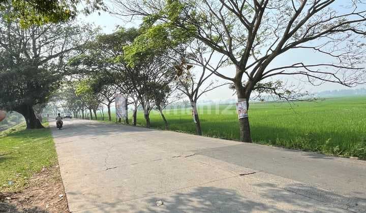 Gudang Dan Tanah 5 Hektar Mauk Kronjo Kemiri Tangerang