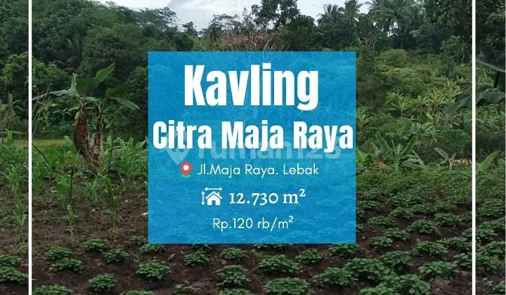 Tanah Murah Citra Maja Raya Lebak Banten. 12730 m² SHM