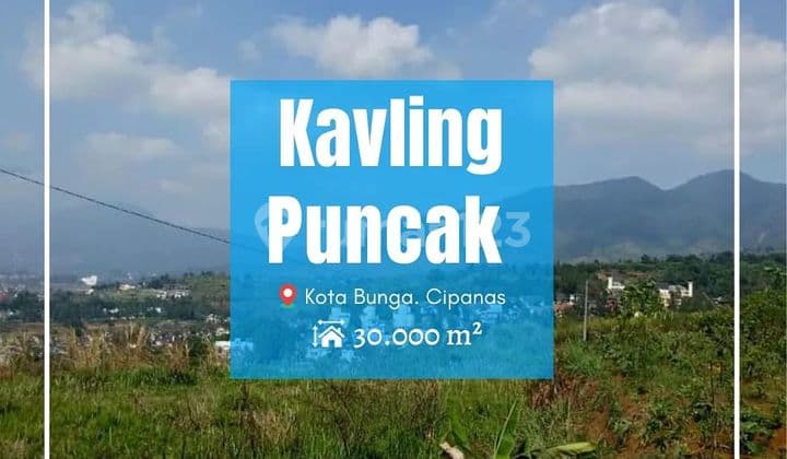 Tanah Kavling 3 Ha Murah Puncak Cisarua Villa Kota Bunga. Pemandangan Indah Full 360°