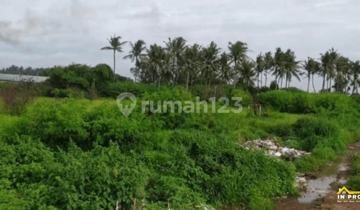 Lahan Industri Ciruas Serang Tangerang