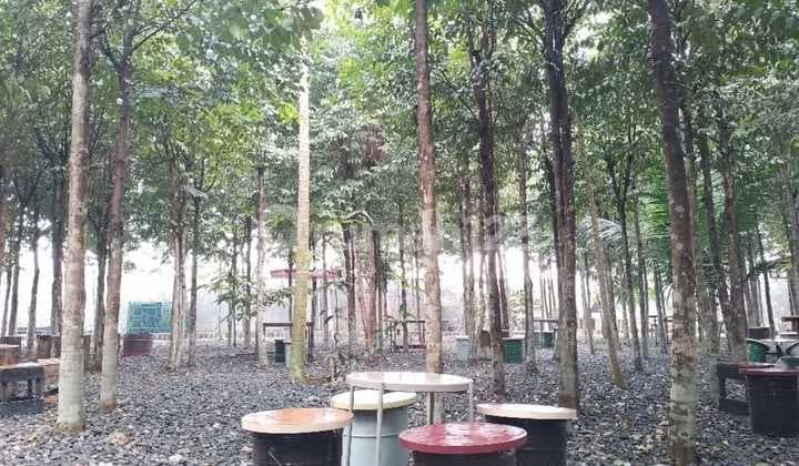 Tanah Strategis Pagedangan 200M Jl Bsd Raya Pusat