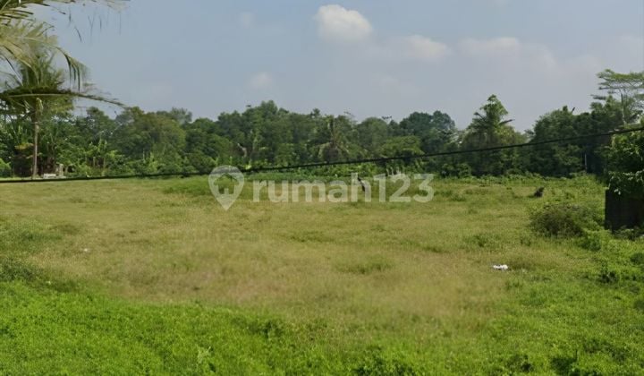 Tanah Cikeusal Termurah. Lahan Padat Siap Bangun