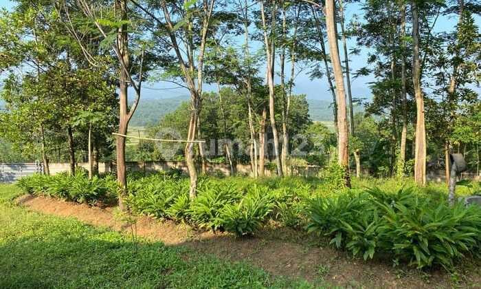 Land at Jl Sukajaya Jonggol, Bogor, Certificate of Ownership (SHM) 29,962 m²