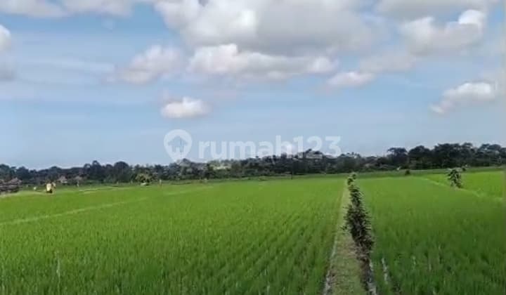 Tanah Jual 46are Nyitdah