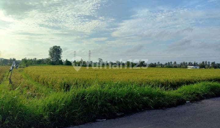 Tanah 4100 M² Sewa,Kaba Kaba