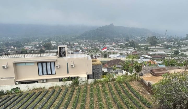 Prime Hillside Investment Land Across Bali Handara Golf