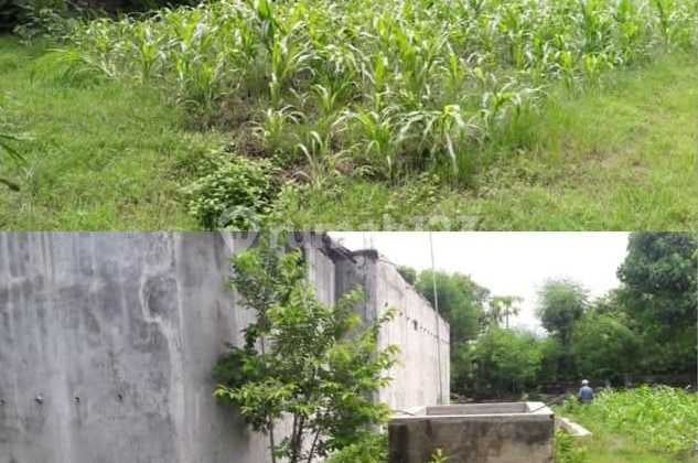 Land & Swallow Nest Building in Sanggalangit, Singaraja