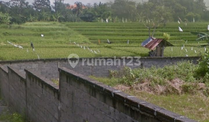 Strategic Land in Canggu - Ideal for Villas / Premium Investments