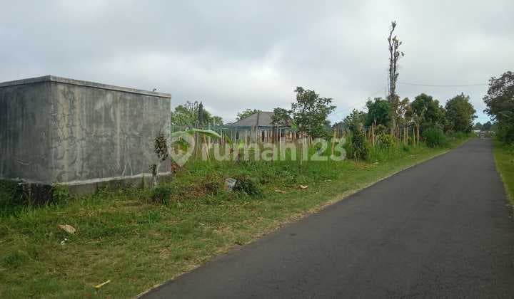 For Rent: Large Land by the Road in Bangli – Belanga Village