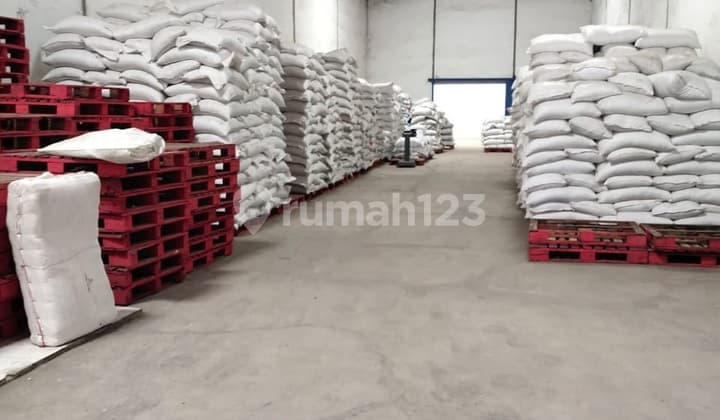 Gudang Dadap Royal Kosambi 650m² Ukuran 10x65 Akses 40 Feet