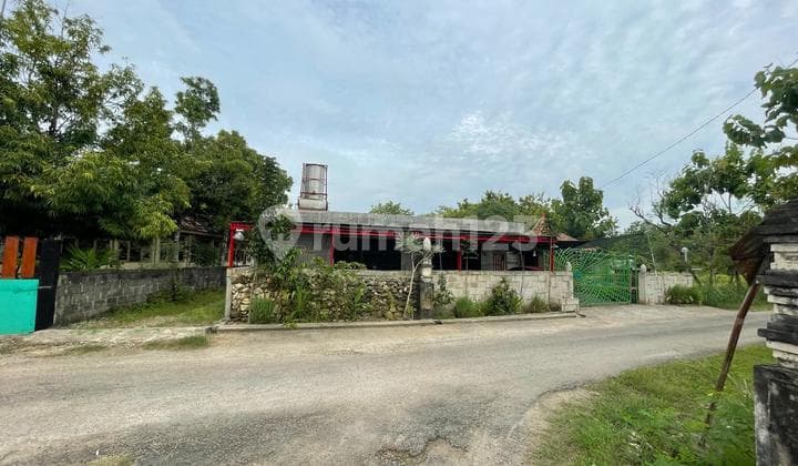 Rumah Plus Lahan Perkebunan yang Sdh Berjalan di Semanu Gunung Kidul