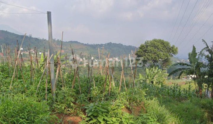 Tanah Matang Siap Bangun Di Cimenyan Bandung City View