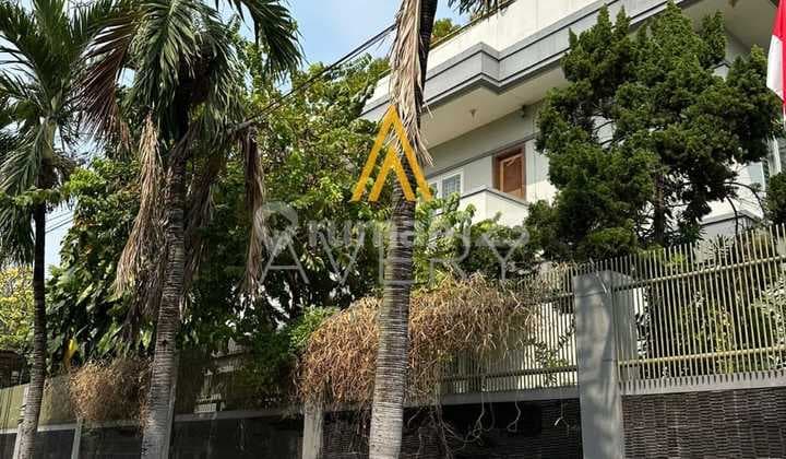 Rumah Kayu Putih Pulomas Huk Minimalis 550 M Ada Pool