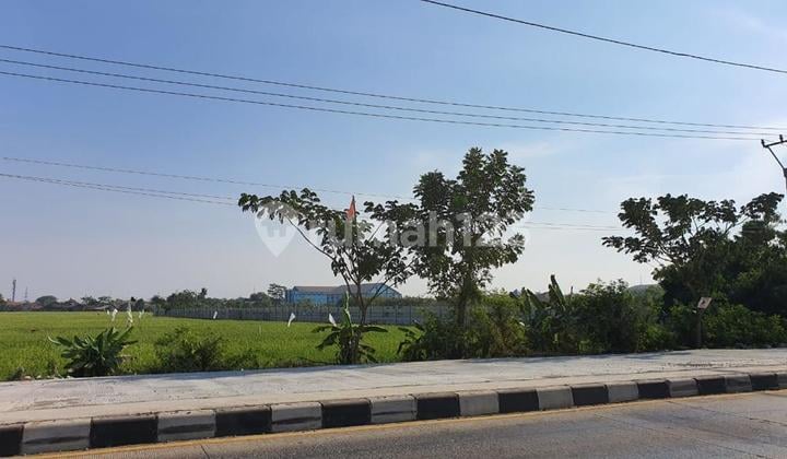 Jual Tanah Komersial 5 Hektar Lingkar Tanjungpura Karawang Barat