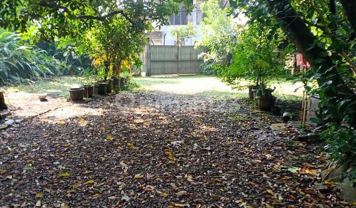 Jual Kebun Buah Cimanggis Depok 7998 M Sukamaju