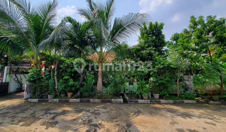 Dijual cepat rumah luas strategis murah di Pangkalan Jati Cinere
