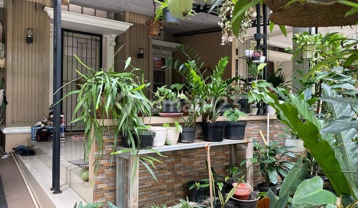 Rumah 1 Lantai Dekat ke Lrtcibubur