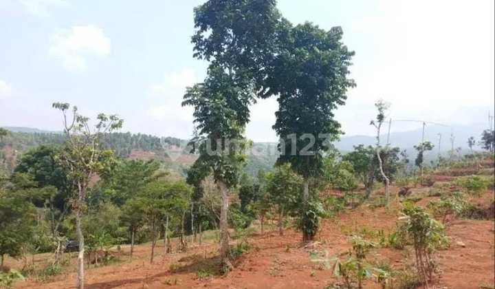 Dijual Kavling 10,000 M2 di Desa Cikereo Selatan, Sumedang