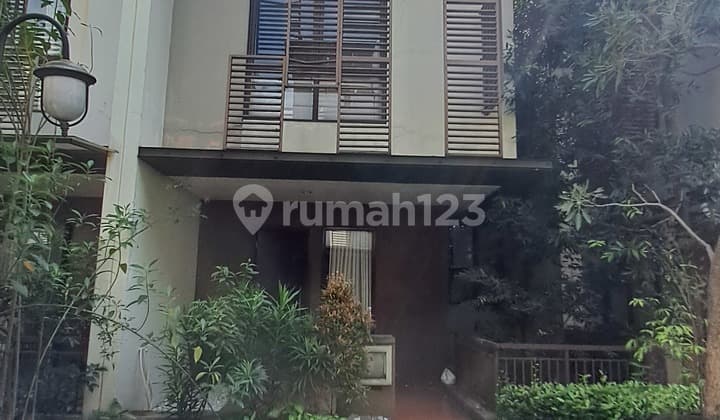 Disewakan Rumah 3 Lantai Cluster Whelford Bsd