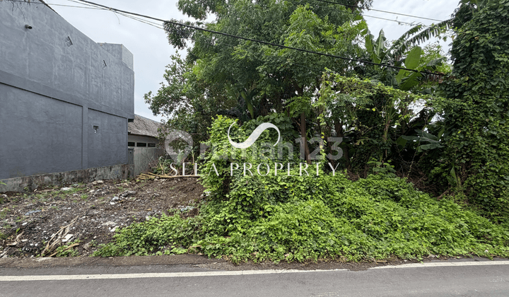 Premium Land Investment in Tumbak Bayuh