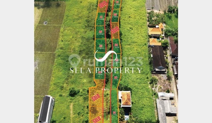 Lahan Strategis di Mas Ubud