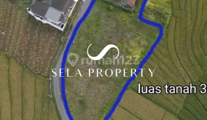 Investasi Tanah Strategis di Cemagi