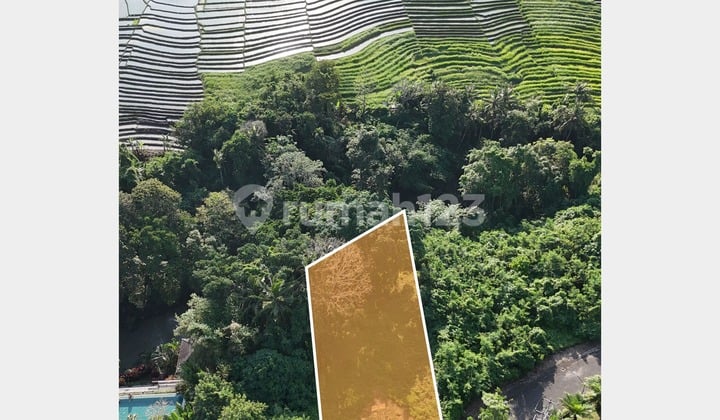 Tanah View Sawah di Munggu