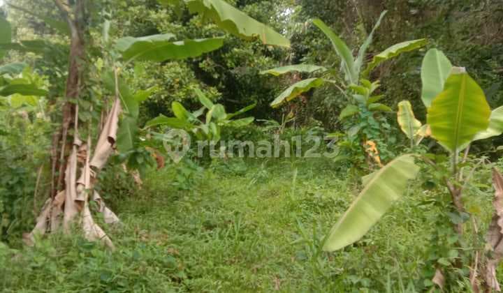 DIJUAL TANAH SUBUR & STRATEGIS DI KARAWANG BARAT