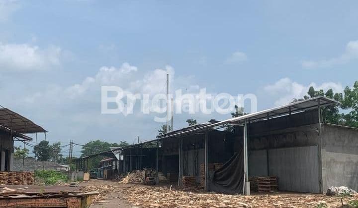 NEGO SAMPAI DEAL DIJUAL PABRIK KAYU AKTIF di SELOKAMBANG, LUMAJANG