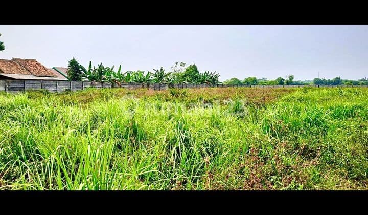 *FOR SALE*
*Land in Serang*
*Pengampelan/Walantaka*
Area: 1.68 Ha
HGB (Building Use Rights)
Ready for construction, already backfilled, & concrete fence. The land condition is solid.
Located in an industrial area, suitable for factories, warehouses, & workshops.
Accessible for container trucks. Price: Rp 750,000/m². Contact: Luc