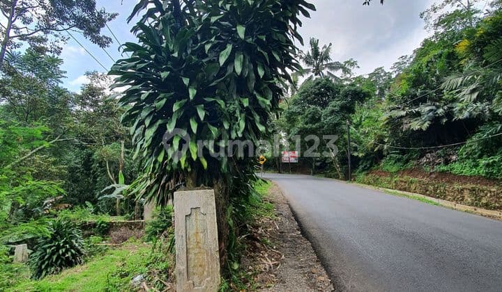 Dijual Cepat Tanah Mainroad Sagala Herang Wanayasa