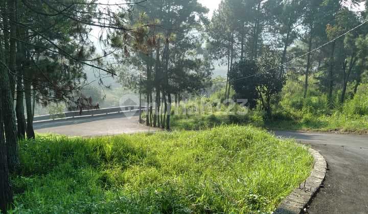 Dijual Cepat Tanah Kavling Strategis di Dago Giri, Lembang.