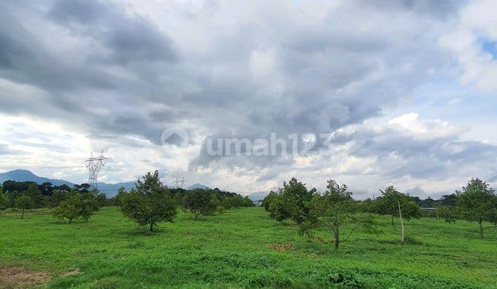 Dijual Tanah Luas di Jalan Utama Provinsi Parakan Muncang