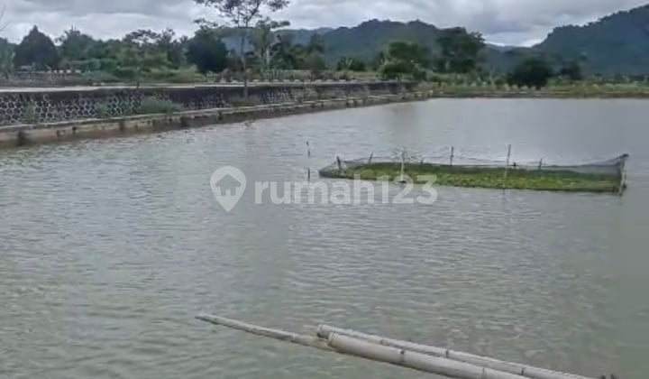 Dijual Tanah Sawah Dan Kolam Luas Di Sukaraja Selawangi Sukabumi